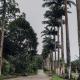 Eagle Boutique Hotel, Guaramiranga - Fotografie 4
