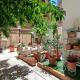 Tati's Garden, Palermo - Foto 1