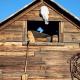 8 Mile Farm Bed & Breakfast, The Dalles (fotografie 3)