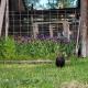 8 Mile Farm Bed & Breakfast, The Dalles (fotografie 2)