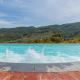 Tuscany villa with pool, Monsummano (photo 9)