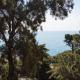 GuestHost - Bright Seaview Apartment in Sanremo - Photo 5