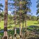 ACE - A Hole in One Right on the Golf Course Hot Tub Mt Views Pines, Flagstaff - Photo 9