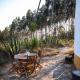 Delightful forest windmill, 10 min away from the beach Nazaré - Fotografie 4