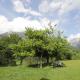 Thethi 360 grade - Camping & Rooms - Foto 10