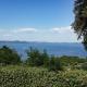 Unique - Monti district - lake view Bracciano - Photo 9