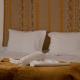 Alqueive GUEST HOUSE, Alqueva (foto 4)