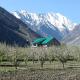 Chandra Bhaga homestay and campsite, Tāndi - Foto 6