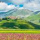by Casamerina, Cunicchi house with private pool and AC 1km from village, Montecchio (fotografie 6)