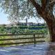 by Casamerina, Cunicchi house with private pool and AC 1km from village, Montecchio (fotografie 7)