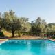 YUTA with pool- Alpaca Country House Montecastello - Fotografie 7