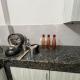 SK Spacious pent house 1 bhk, Kondapur - 写真 5