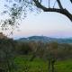 Buddy's Home, Todi - Fotografie 7