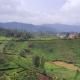 Jungle retreat hide away ph1, Ooty - Foto 6