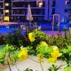 Studio de Luxo em Muro Alto - Makia Beach A209, ポルト・デ・ガリーニャス - 写真 5