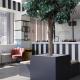HOME PLUS Hotel, Istanbul - Foto 4