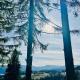 Tiarra Mountain Lodge, Beliş - Fotografie 2