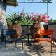 The Cottage in the Citrus Grove, Nunziata (Foto 6)