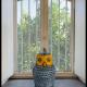The Cottage in the Citrus Grove, Nunziata (Foto 8)