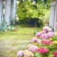 Villa La Dogana - B&B with a lovely garden - Private parking - Slow living in an old-fashioned historical home, Lucca (foto 10)