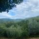 Apartment in ancient historic villa near Florence, Rufina (fotografie 5)