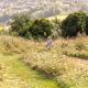 The Natterjack, Bath - Glamping, Bath - Photo 4