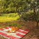 Rainbow Cottage 3BR Villa Nainital hills Cook, ビムタル - 写真 4