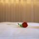 Dancourt Funfair Hotel, Thika - Kuva 4