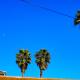 Cozy Private Guest House, Los Angeles - Foto 2