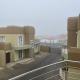 The 2nd Seagull, Swakopmund (photo 2)