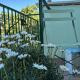Monstera House Roma Trastevere, Roma - Foto 3