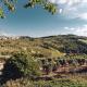 Relais Villa Olmo - Place of Charme, Impruneta (Foto 9)