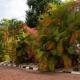 Romalo Hotel & Apartments, Kigali (foto 10)