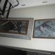 FatOwl Motel, Bar & Eatery, Piopio (foto 2)