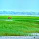 Jo'stel Hotel Tufan - Sundarban, Purbbadulki - Fotografie 7