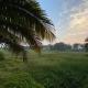 GreenfieldView, カンドリム - 写真 7