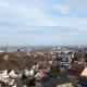 Słoneczny Widok, Gdynia (zdjęcie 6)