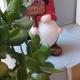 Spartines home, Votsi (photo 6)