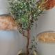 Spartines home, Votsi (photo 4)