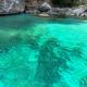 Donna Franca, Scario (foto 5)