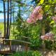 Alpenrose 4, Hottub, Mountains View, AC, sleep 5, Golden (foto 3)