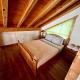 Alpenrose 4, Hottub, Mountains View, AC, sleep 5, Golden (foto 10)