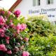 Hazai Provence