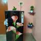 Lotus Stays, Guwahati - Foto 5