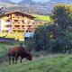 KITZALPEN Pension, Hollersbach im Pinzgau - Fotografie 3