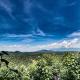 Black Bear Rendez View by Venture Smoky Mountains, Sevierville - Fotografie 3
