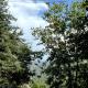 Slow Living Villa - Mukteshwar - THHPSOCIETY, Mukteshwar - Foto 4