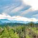 Elizabeths View II by Venture Smoky Mountains Gatlinburg - Fotografie 3