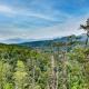 Heavenly Summit by Venture Smoky Mountains Gatlinburg - Fotografie 5