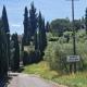 Santa Cristina, Greve in Chianti (zdjęcie 8)